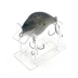 Grayish Black Shallow Diving Crankbait on stand